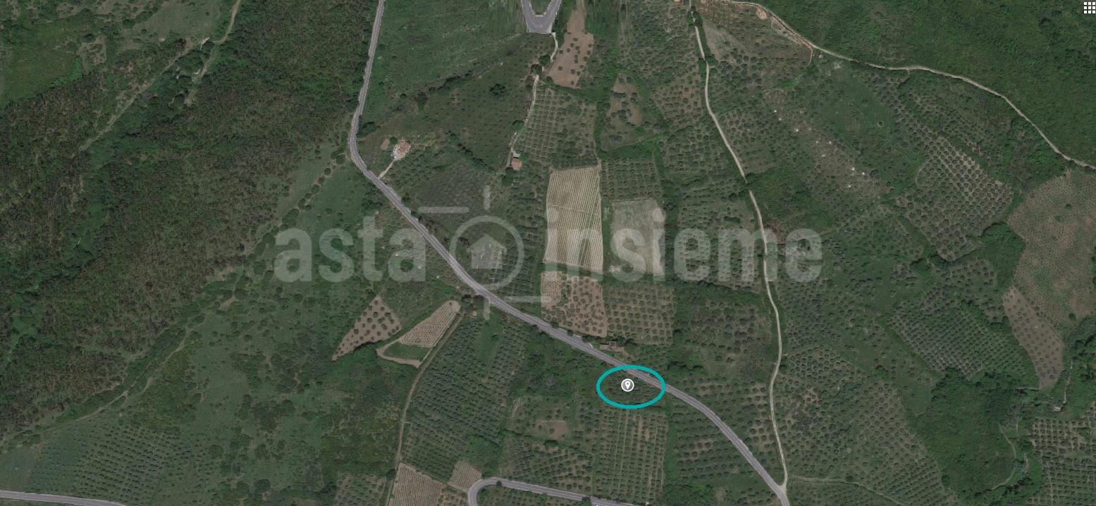 Terreno Agricolo Località Difesa  BELLOSGUARDO di 1390,67 Mq.