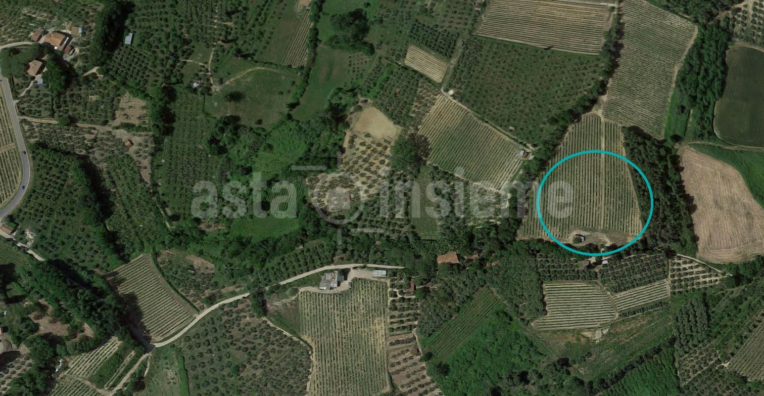 Terreno Agricolo Via Comunale Terricciolese TERRICCIOLA  di 16187,00 Mq oltre Fabbricato agricolo