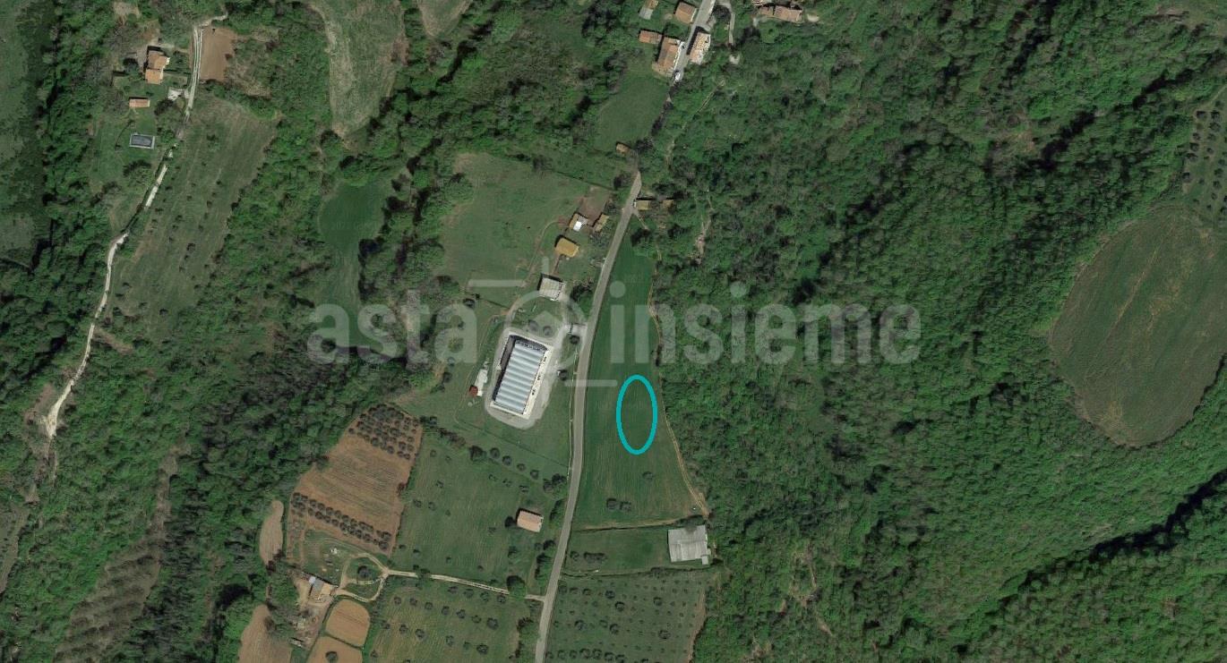 Terreno Agricolo 50 % di Diritto di piena proprietà Località Case Rocchi SNC SORANO di 25110,00 Mq.